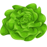 Grüner Salat
